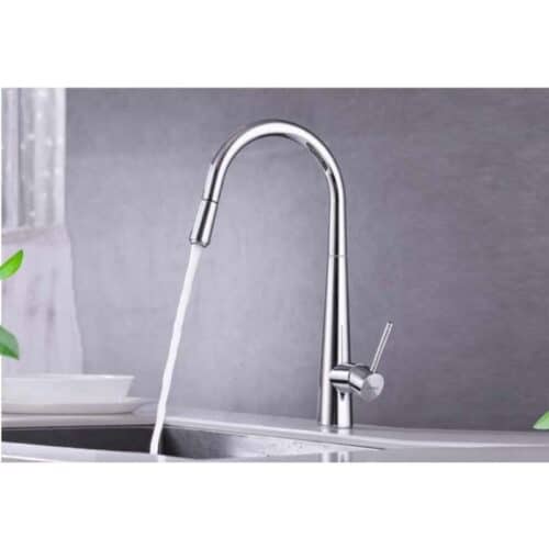 Vòi rửa bát Hafele HT21-CH1P245 577.55.220